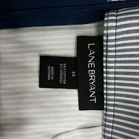 Lane Bryant Womens Size 24 Skirt Stripe High Waist - Picture 4 of 4